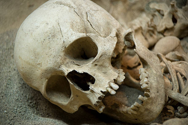 Основные антропологические показатели европейского неандертальца